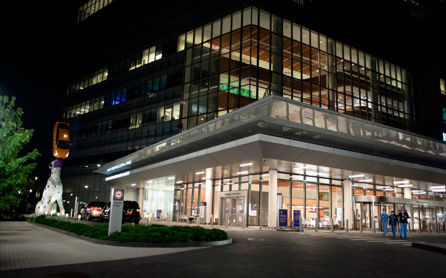 NYU Langone Medical Center, Emergency Room Expansion